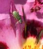 227774 – Photo : Bernard Ginesy – France (13)